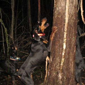 Meet your Posher, Leon